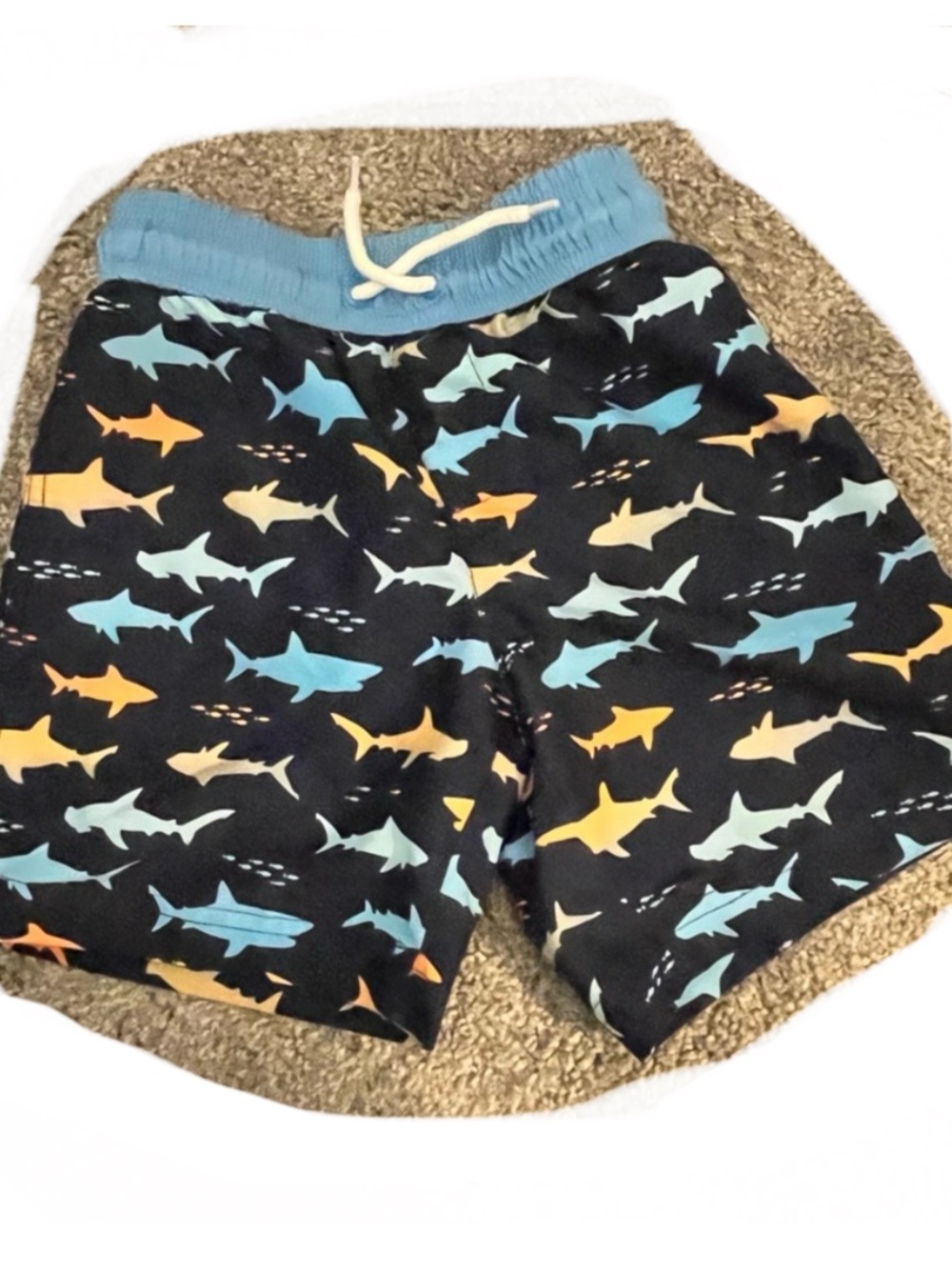 Boys Shark Themed Swim Trunks 4T